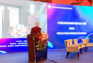 会计服务信用体系建设 信用中国官网的权威指引与实践路径