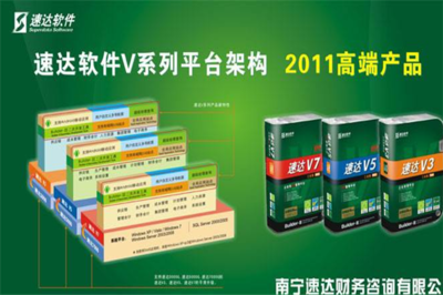 速达节能财务咨询 绿色经济背景下的专业财务管理服务